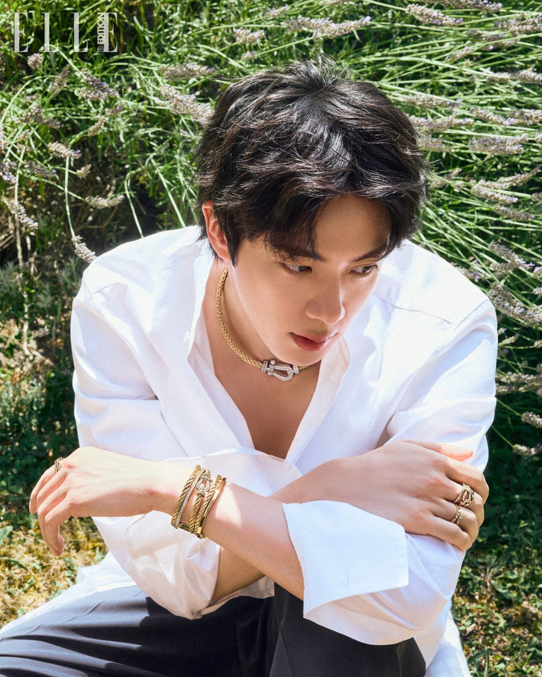 jin 4.png